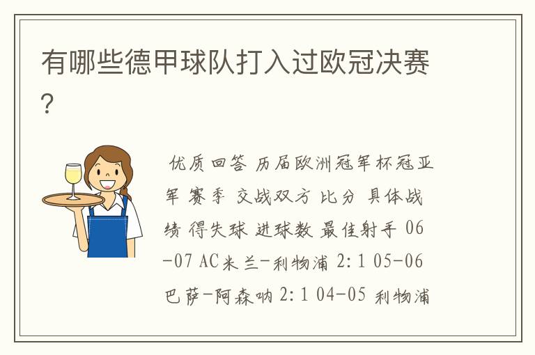 有哪些德甲球队打入过欧冠决赛?