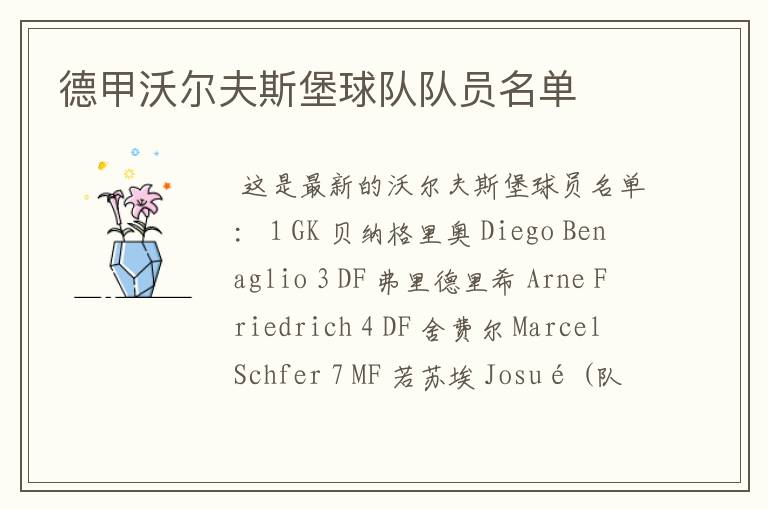 德甲沃尔夫斯堡球队队员名单