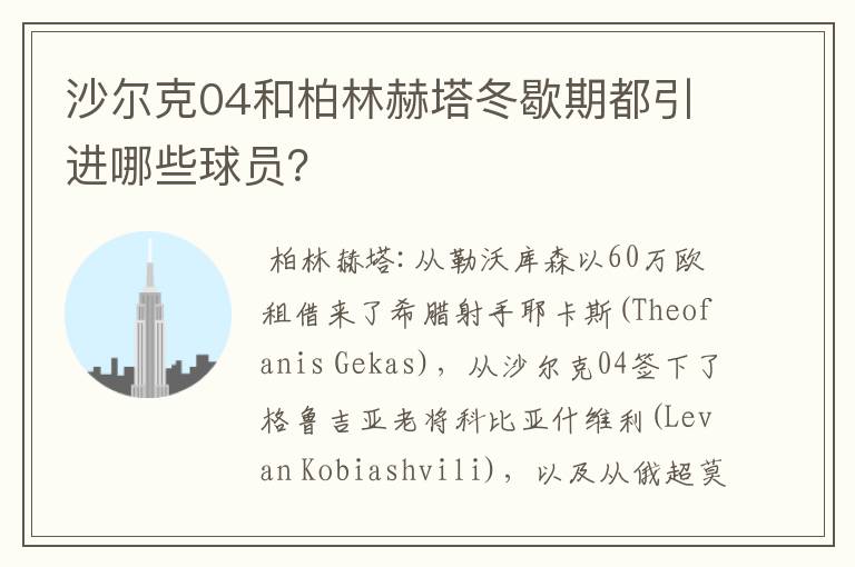 沙尔克04和柏林赫塔冬歇期都引进哪些球员?