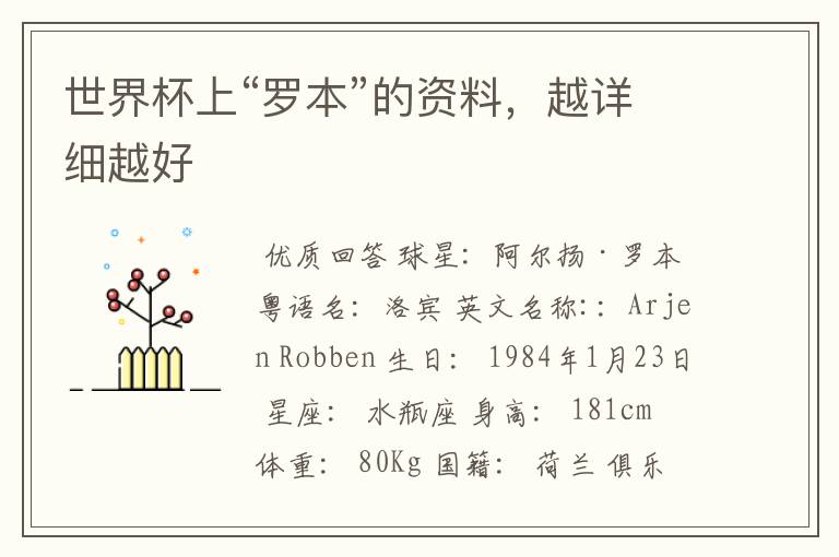 世界杯上“罗本”的资料,越详细越好