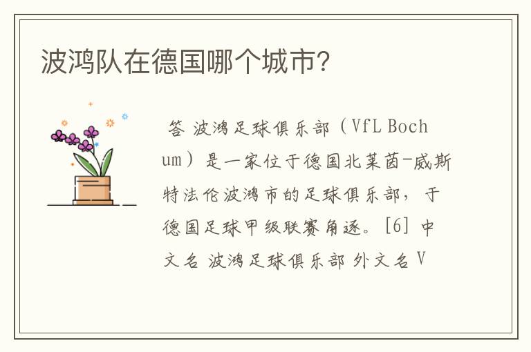 波鸿队在德国哪个城市?