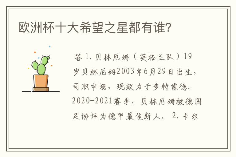 欧洲杯十大希望之星都有谁?