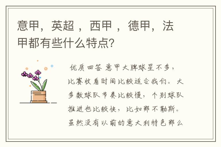 意甲,英超 ,西甲 ,德甲,法甲都有些什么特点?