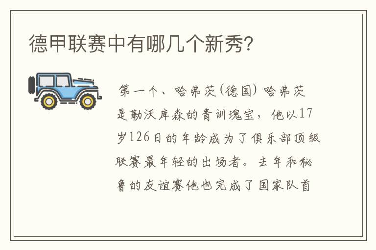 德甲联赛中有哪几个新秀?
