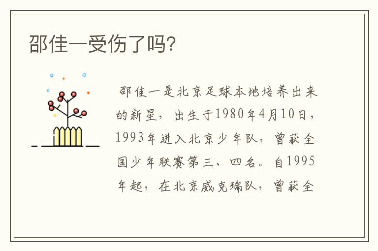 邵佳一受伤了吗?
