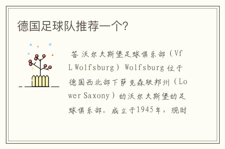德国足球队推荐一个?