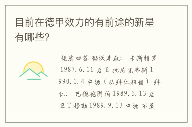 目前在德甲效力的有前途的新星有哪些?