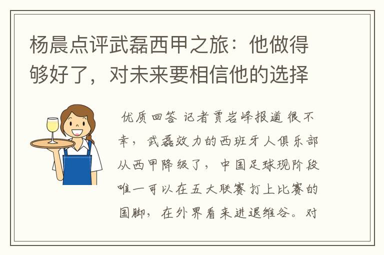 杨晨点评武磊西甲之旅:他做得够好了,对未来要相信他的选择