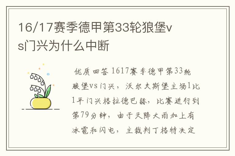 16/17赛季德甲第33轮狼堡vs门兴为什么中断