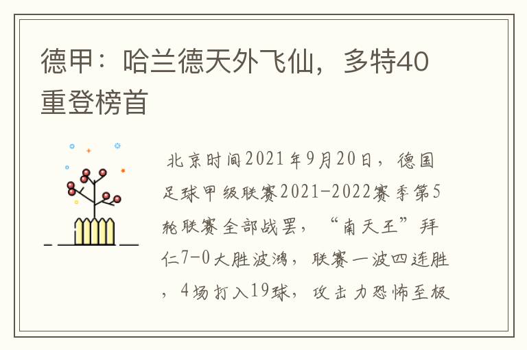 德甲:哈兰德天外飞仙,多特40重登榜首