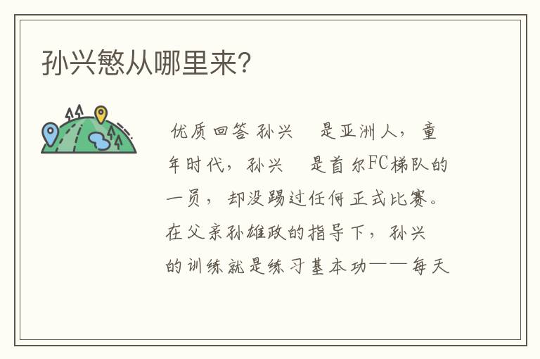孙兴慜从哪里来?