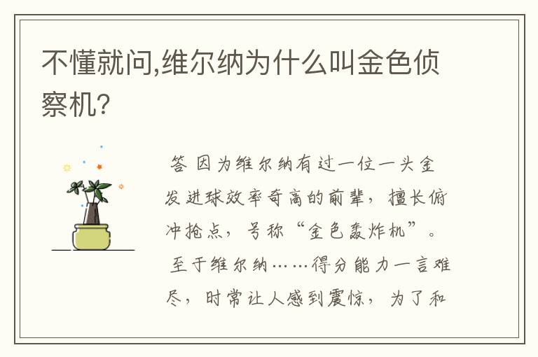 不懂就问,维尔纳为什么叫金色侦察机?