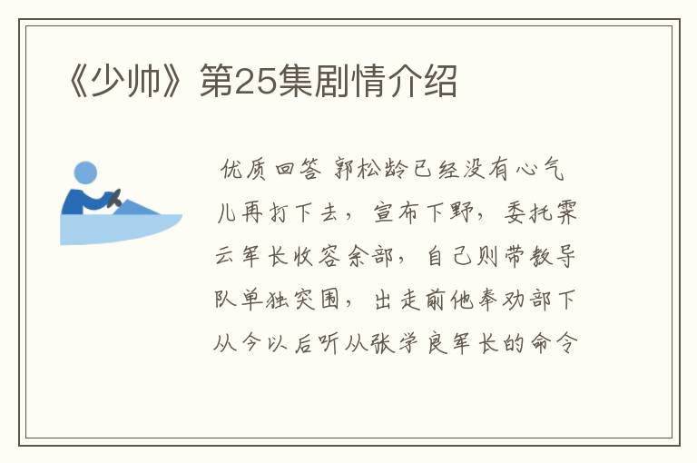 《少帅》第25集剧情介绍