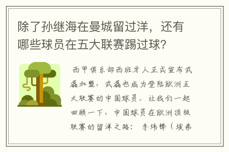 除了孙继海在曼城留过洋,还有哪些球员在五大联赛踢过球?