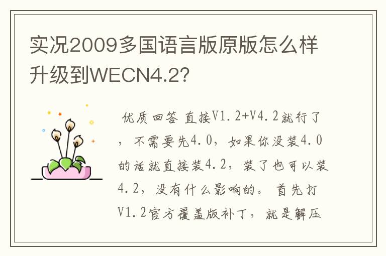 实况2009多国语言版原版怎么样升级到WECN4.2?