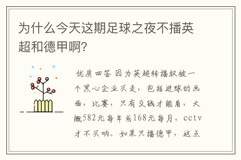 为什么今天这期足球之夜不播英超和德甲啊?