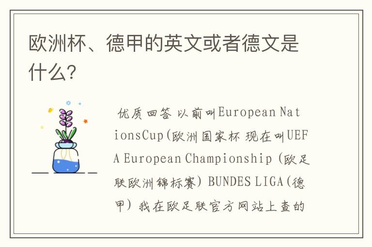 欧洲杯、德甲的英文或者德文是什么?