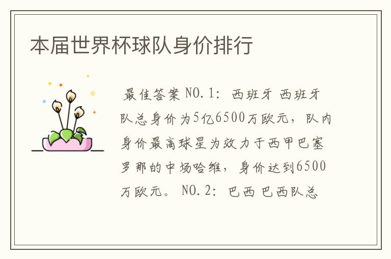 本届世界杯球队身价排行