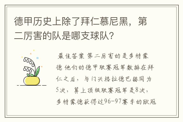 德甲历史上除了拜仁慕尼黑,第二厉害的队是哪支球队?