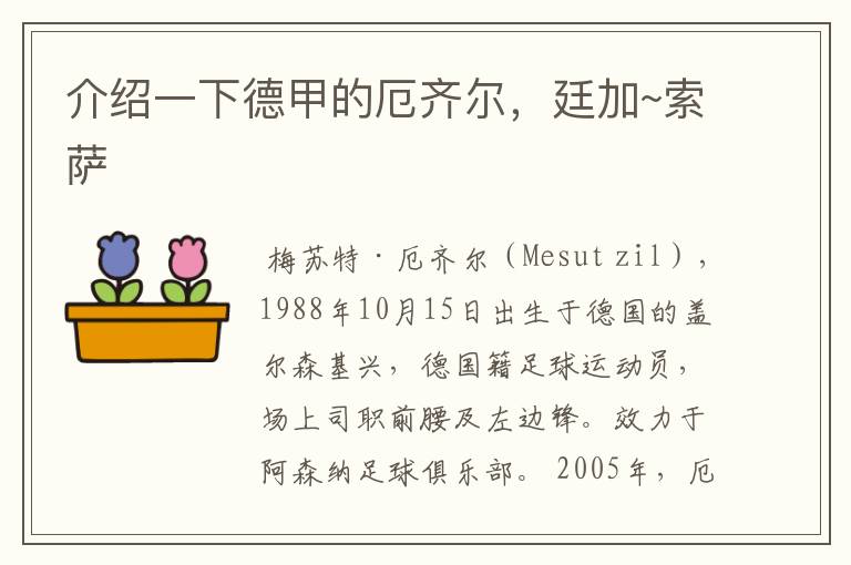 介绍一下德甲的厄齐尔,廷加~索萨