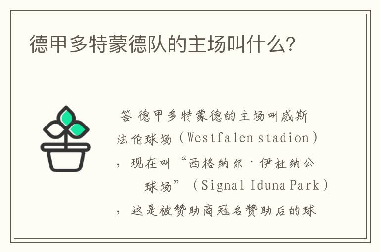 德甲多特蒙德队的主场叫什么?