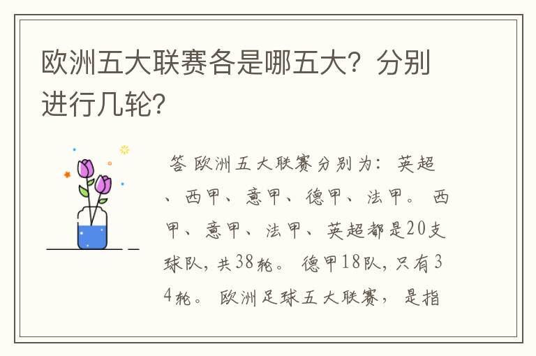 欧洲五大联赛各是哪五大?分别进行几轮?