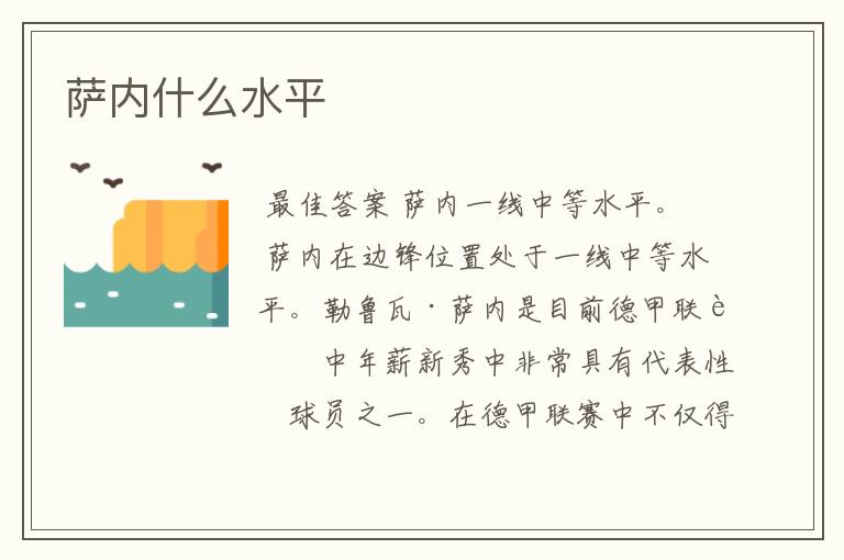 萨内什么水平