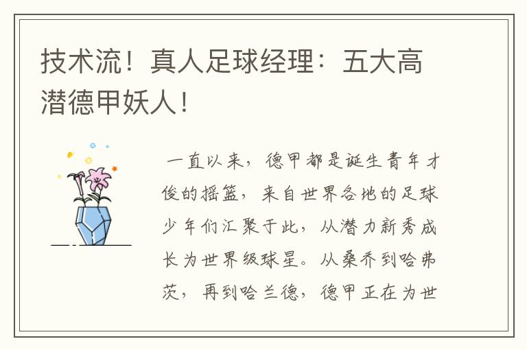技术流!真人足球经理:五大高潜德甲妖人!