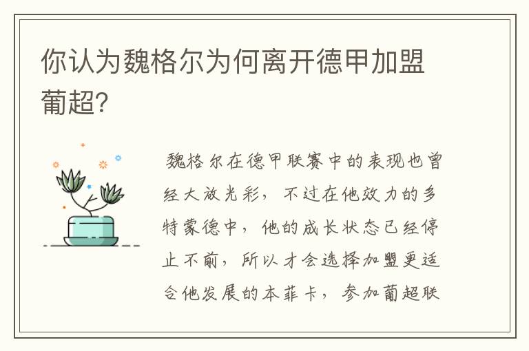 你认为魏格尔为何离开德甲加盟葡超?