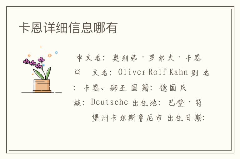 卡恩详细信息哪有