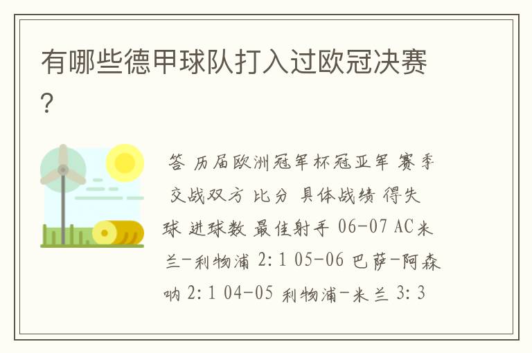 有哪些德甲球队打入过欧冠决赛?