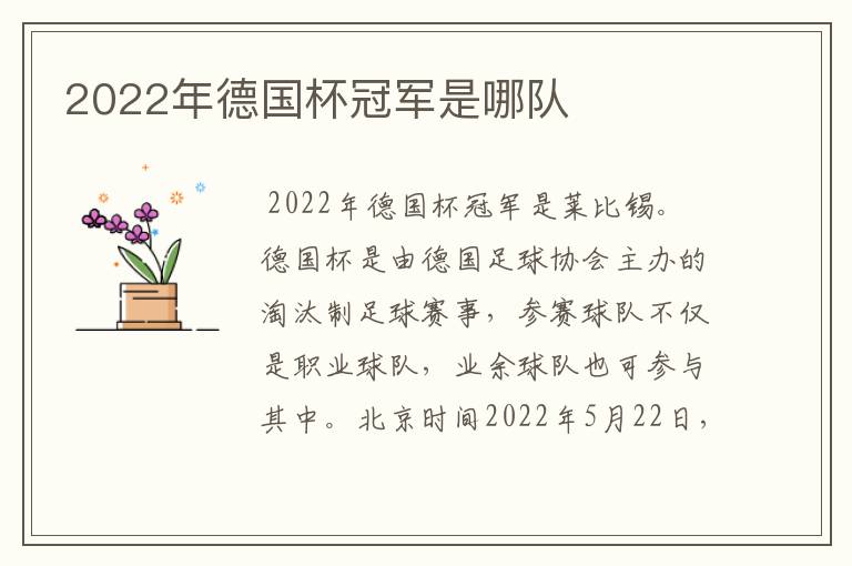 2022年德国杯冠军是哪队