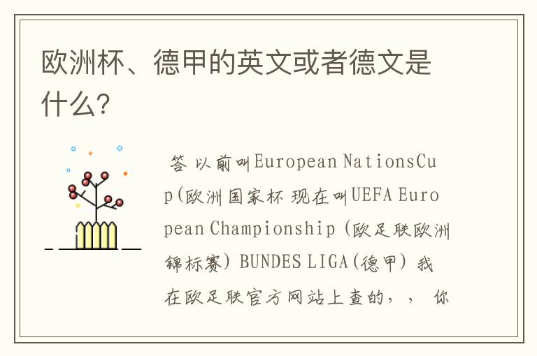 欧洲杯、德甲的英文或者德文是什么?
