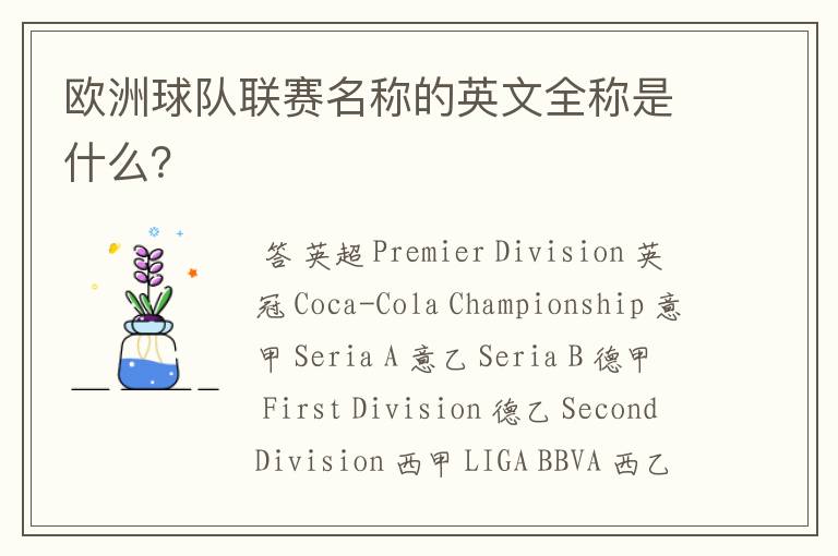 欧洲球队联赛名称的英文全称是什么?