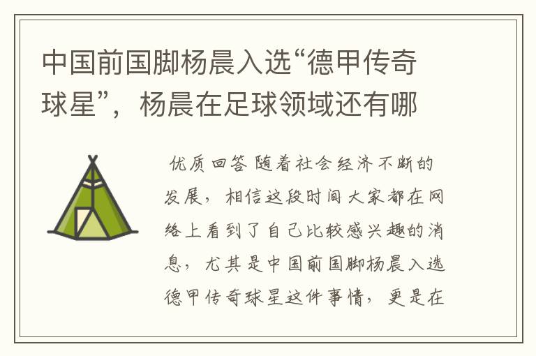 中国前国脚杨晨入选“德甲传奇球星”,杨晨在足球领域还有哪些成就?