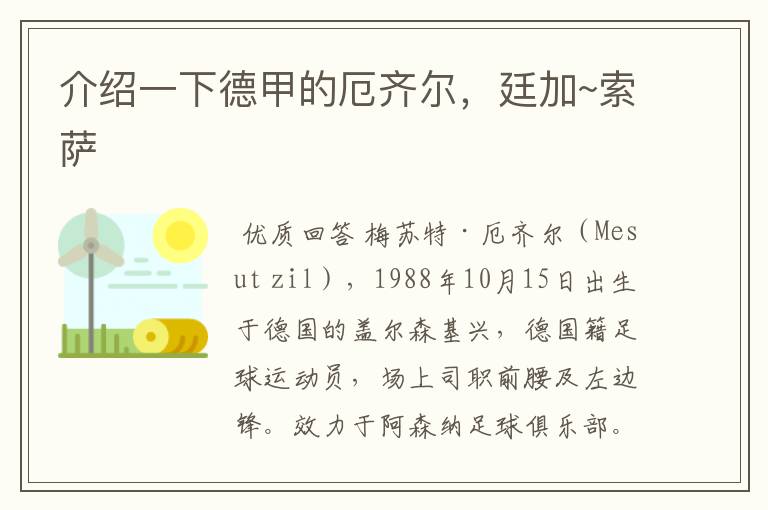 介绍一下德甲的厄齐尔,廷加~索萨
