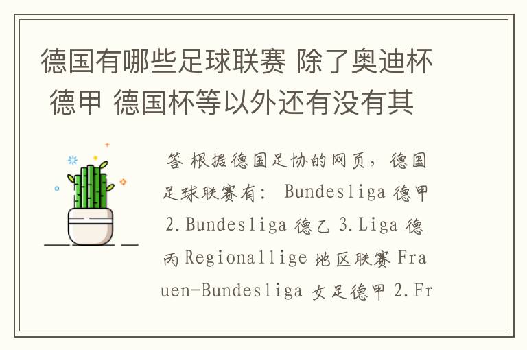 德国有哪些足球联赛 除了奥迪杯 德甲 德国杯等以外还有没有其他的?
