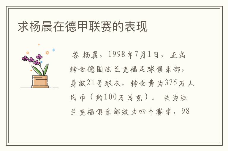 求杨晨在德甲联赛的表现