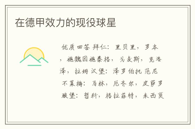 在德甲效力的现役球星