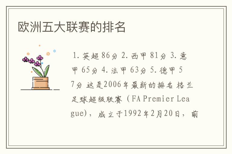 欧洲五大联赛的排名