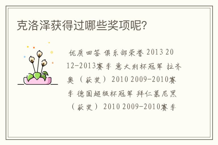 克洛泽获得过哪些奖项呢?