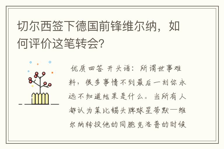 切尔西签下德国前锋维尔纳,如何评价这笔转会?