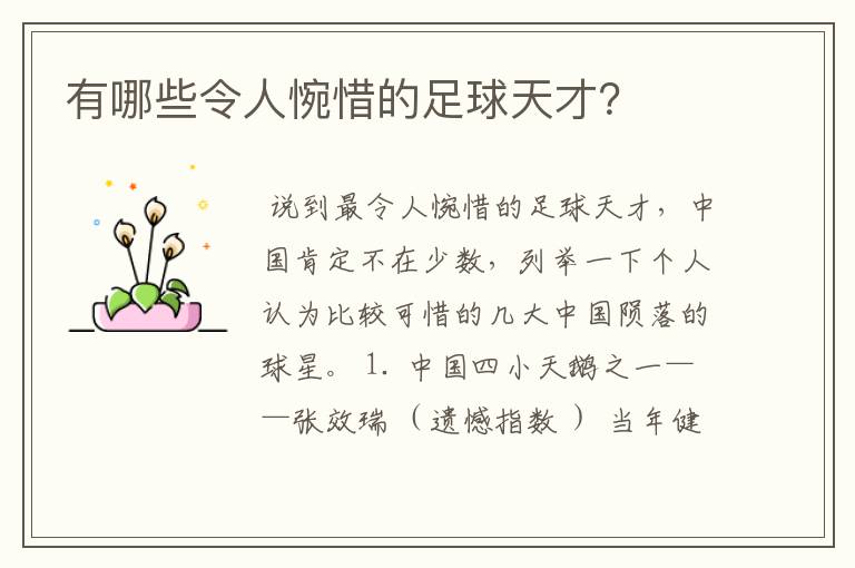 有哪些令人惋惜的足球天才?