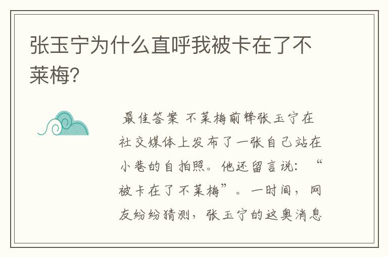 张玉宁为什么直呼我被卡在了不莱梅?