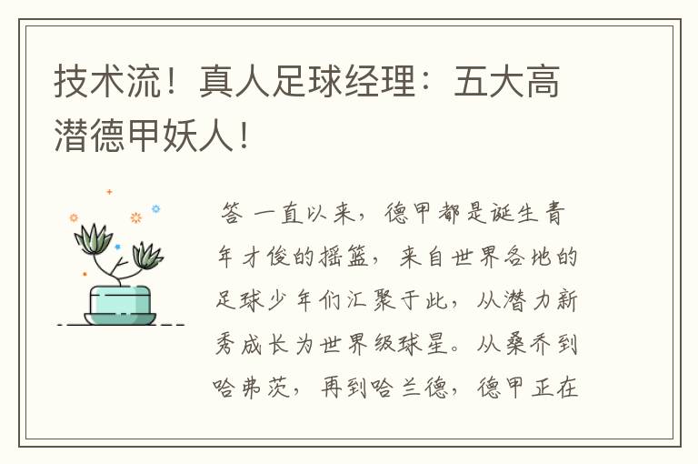 技术流!真人足球经理:五大高潜德甲妖人!