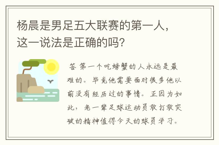 杨晨是男足五大联赛的第一人,这一说法是正确的吗?