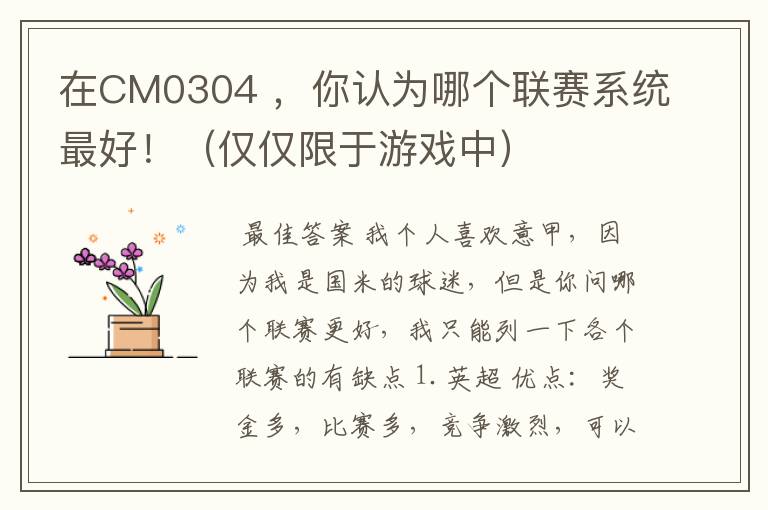 在CM0304 ,你认为哪个联赛系统最好!(仅仅限于游戏中)
