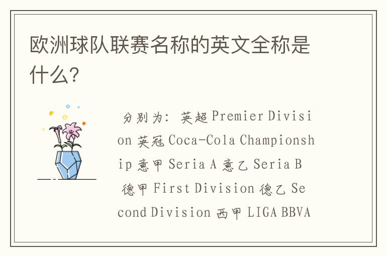 欧洲球队联赛名称的英文全称是什么?