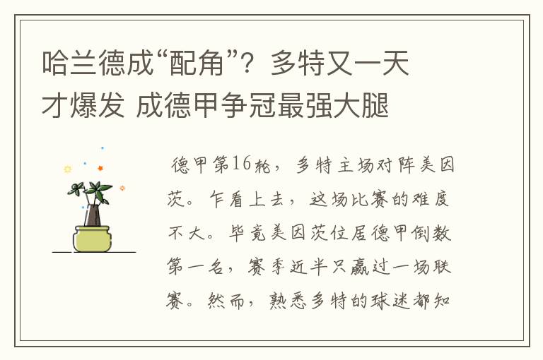 哈兰德成“配角”?多特又一天才爆发 成德甲争冠最强大腿