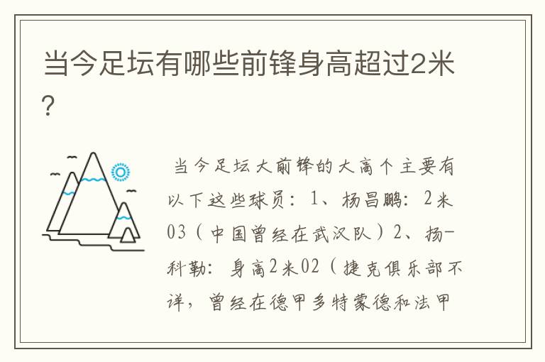当今足坛有哪些前锋身高超过2米?